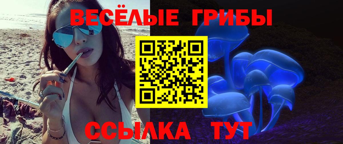 Галлюциногенные грибы MAGIC MUSHROOMS Моздок